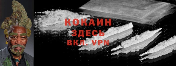 прущие грибы Горняк