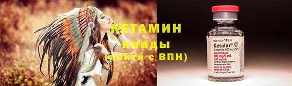 прущие грибы Горняк