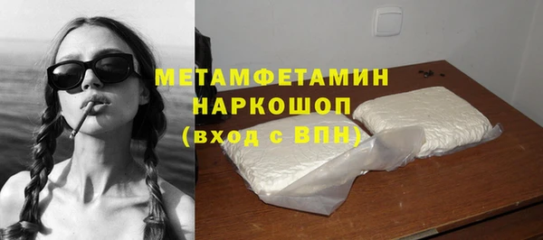 прущие грибы Горняк