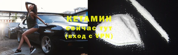 прущие грибы Горняк