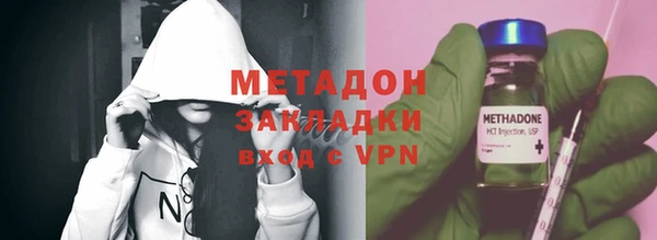 прущие грибы Горняк