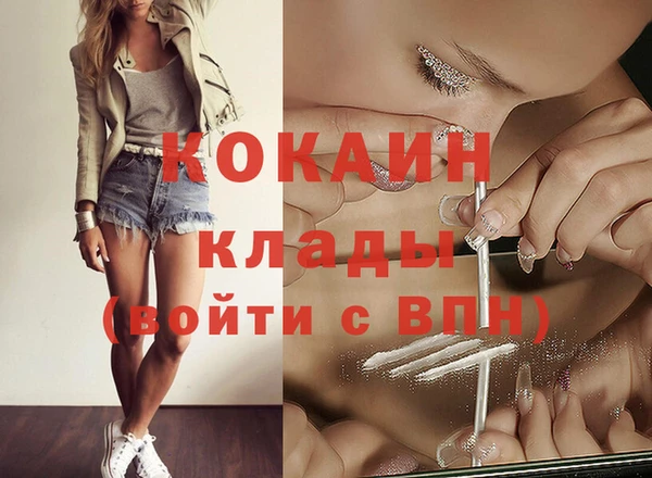 прущие грибы Горняк