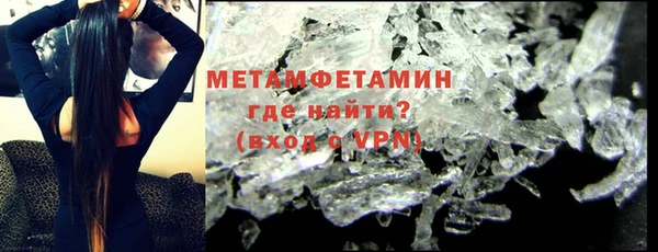 прущие грибы Горняк