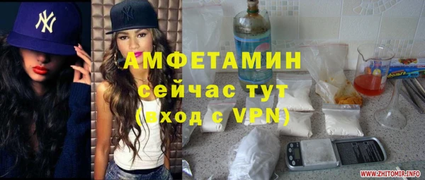 прущие грибы Горняк