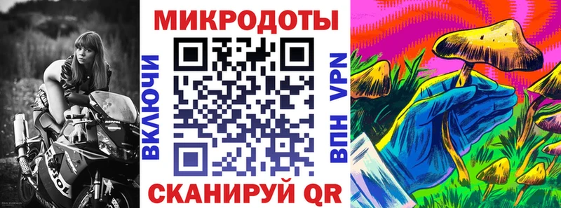 hydra как зайти  наркота  Мезень  Псилоцибиновые грибы мицелий 